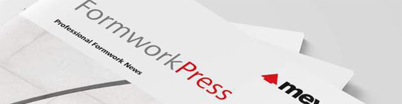 Professional-News-paper